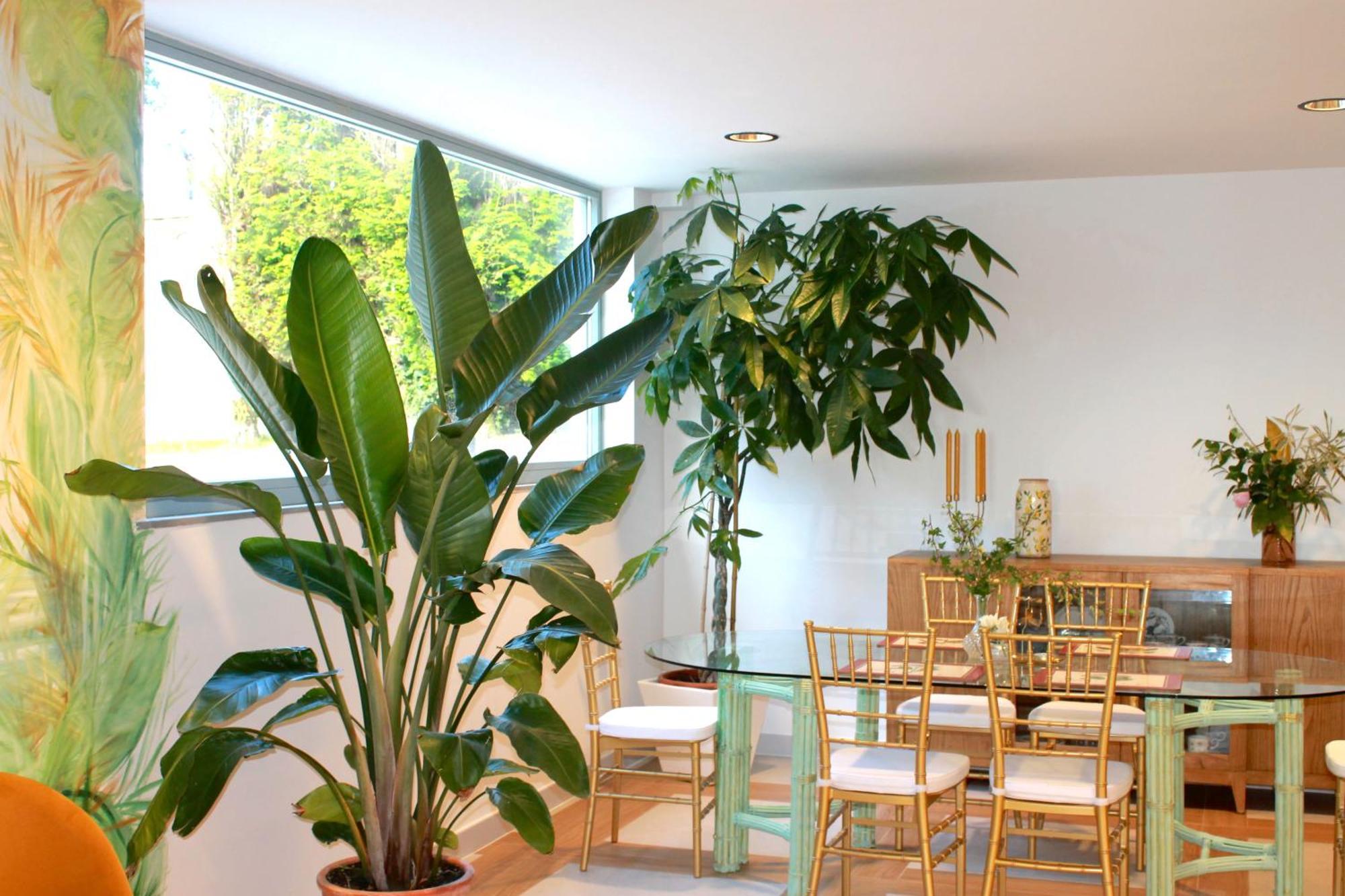 Hotel Boutique Del Marques Muros De Nalon